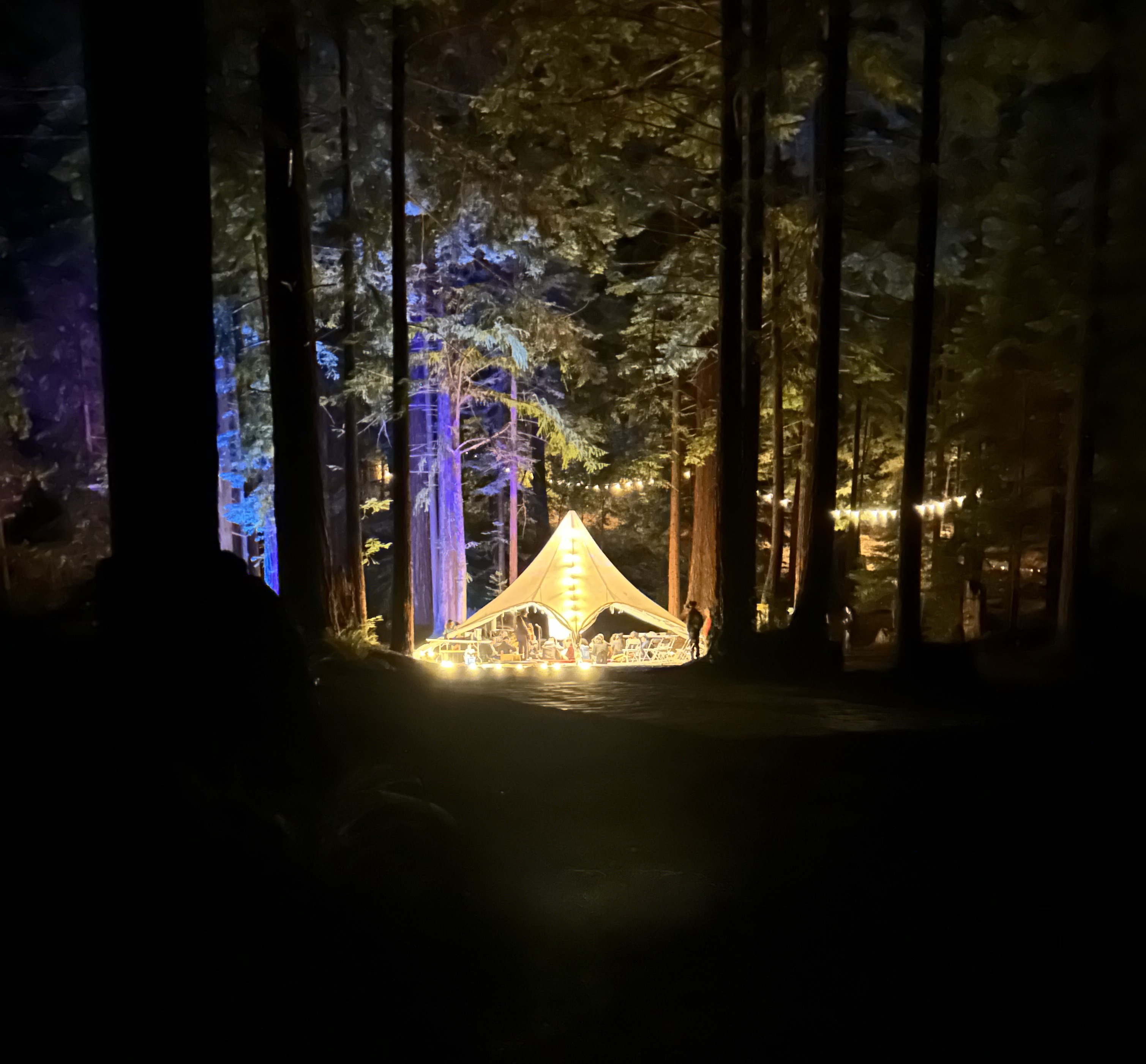 A DWeb Camp tea tent glowing at night