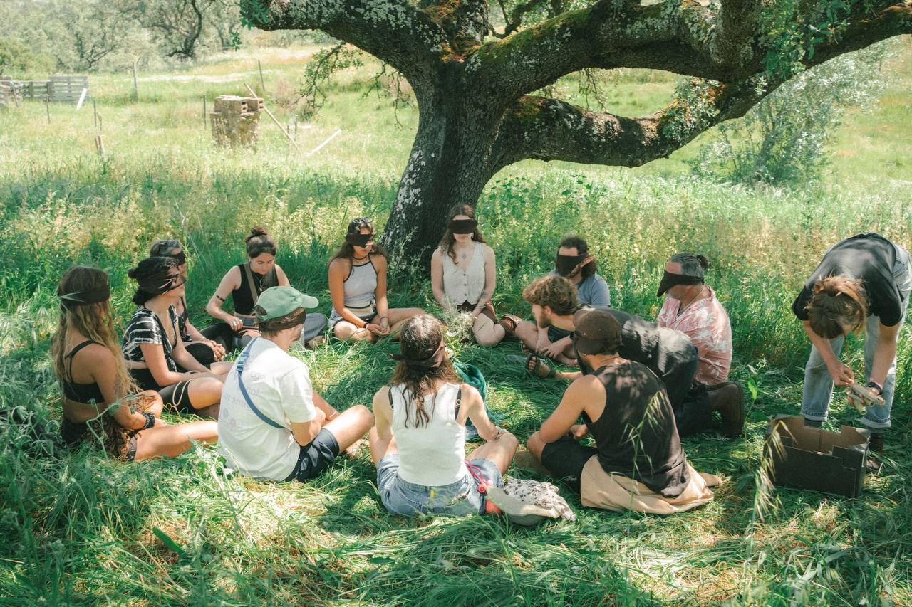A group seated in a circle beneath a broad cork oak
