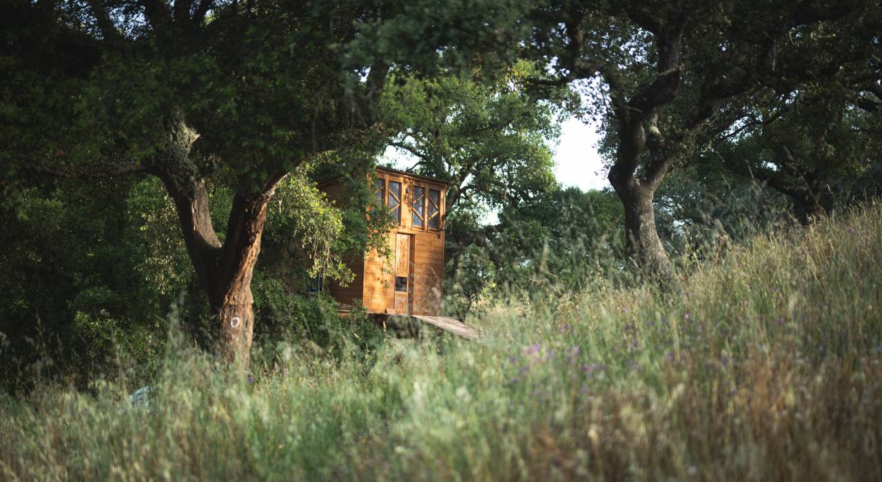 A small timber cabin nestled among cork oaks and tall grass